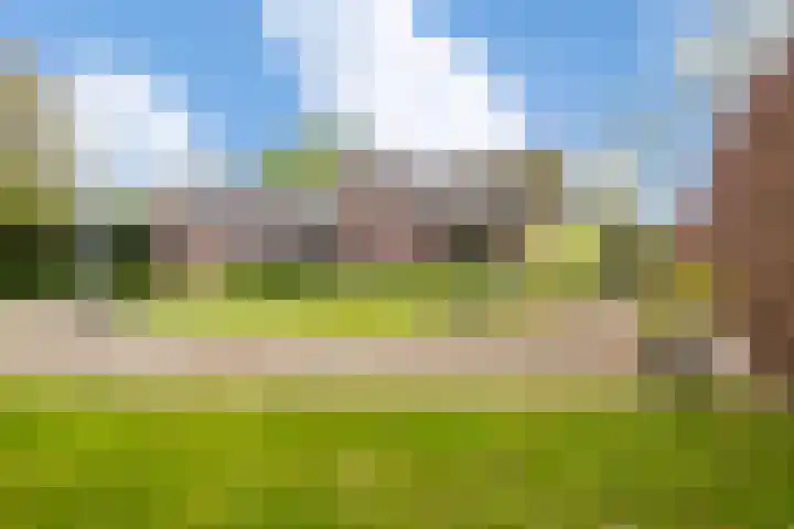 Houtwal 5 Hoeven thumbnail 35
