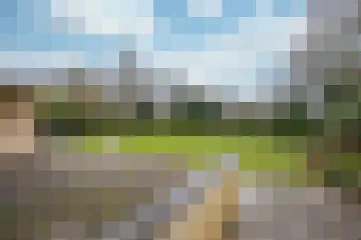 Houtwal 5 Hoeven thumbnail 37