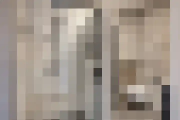 Houtwal 5 Hoeven thumbnail 4
