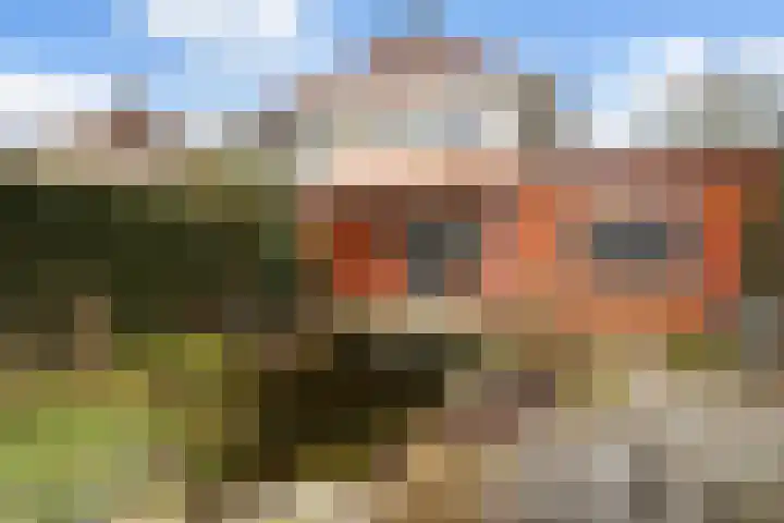 Houtwal 5 Zeewolde thumbnail 19