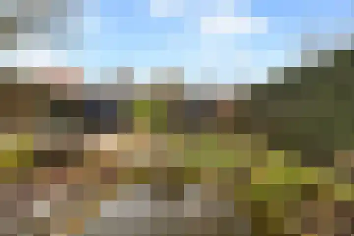 Houtwal 5 Zeewolde thumbnail 21