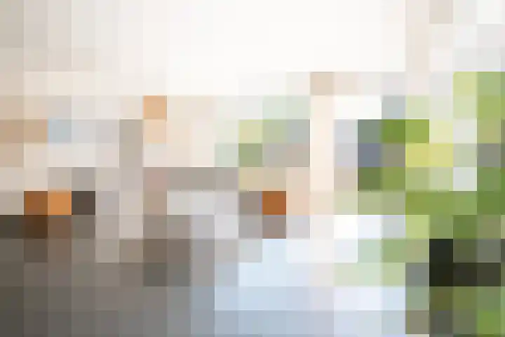 Houtwal 61 Apeldoorn thumbnail 13