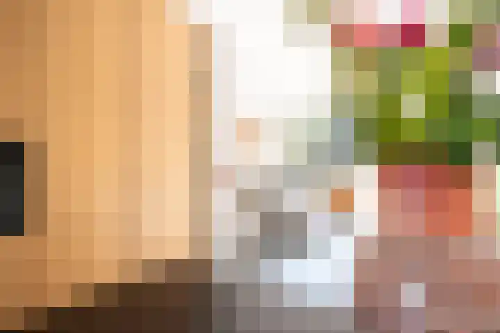 Houtwal 61 Apeldoorn thumbnail 15