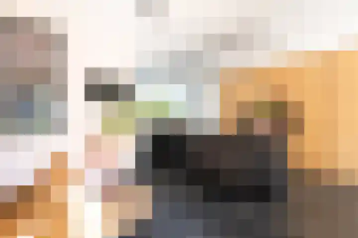 Houtwal 61 Apeldoorn thumbnail 9