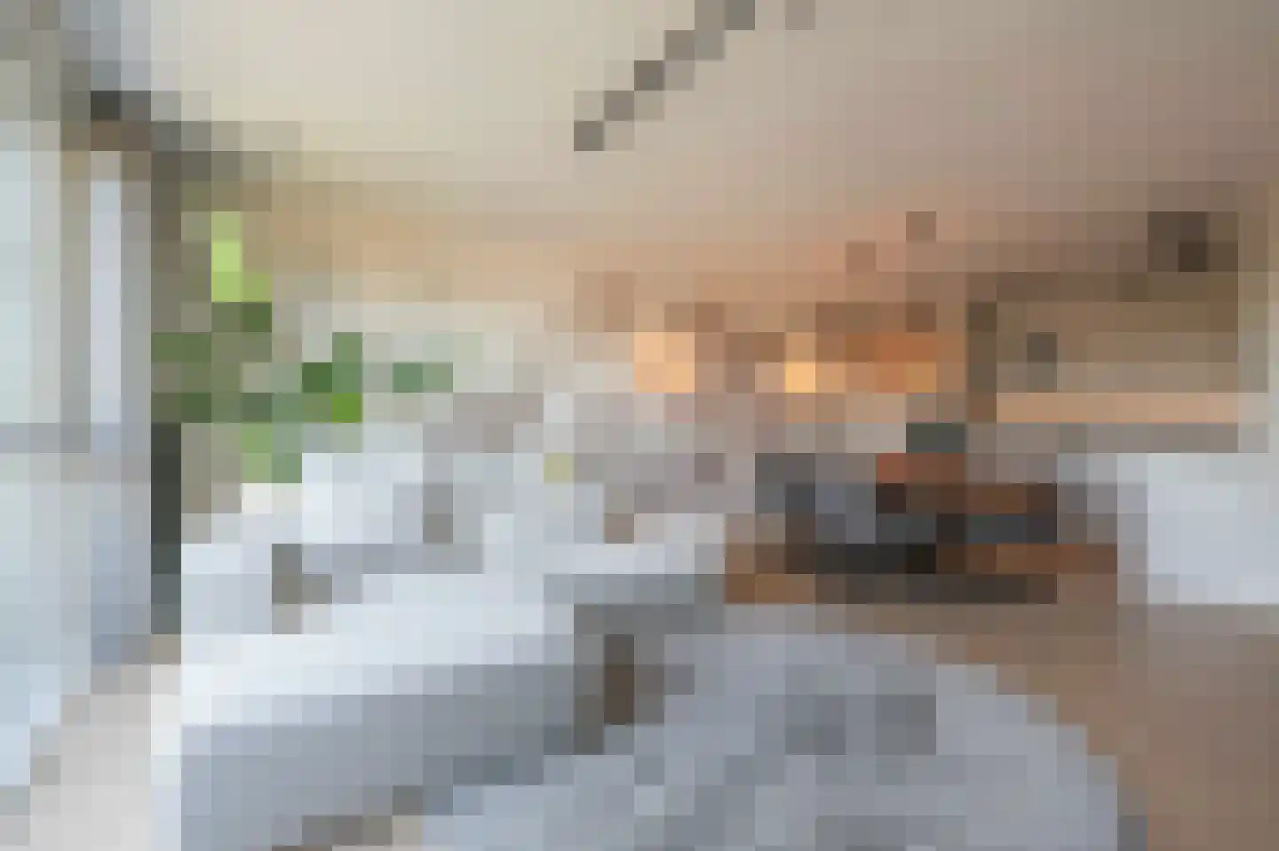 Houtwal 74 Hoeven thumbnail 10