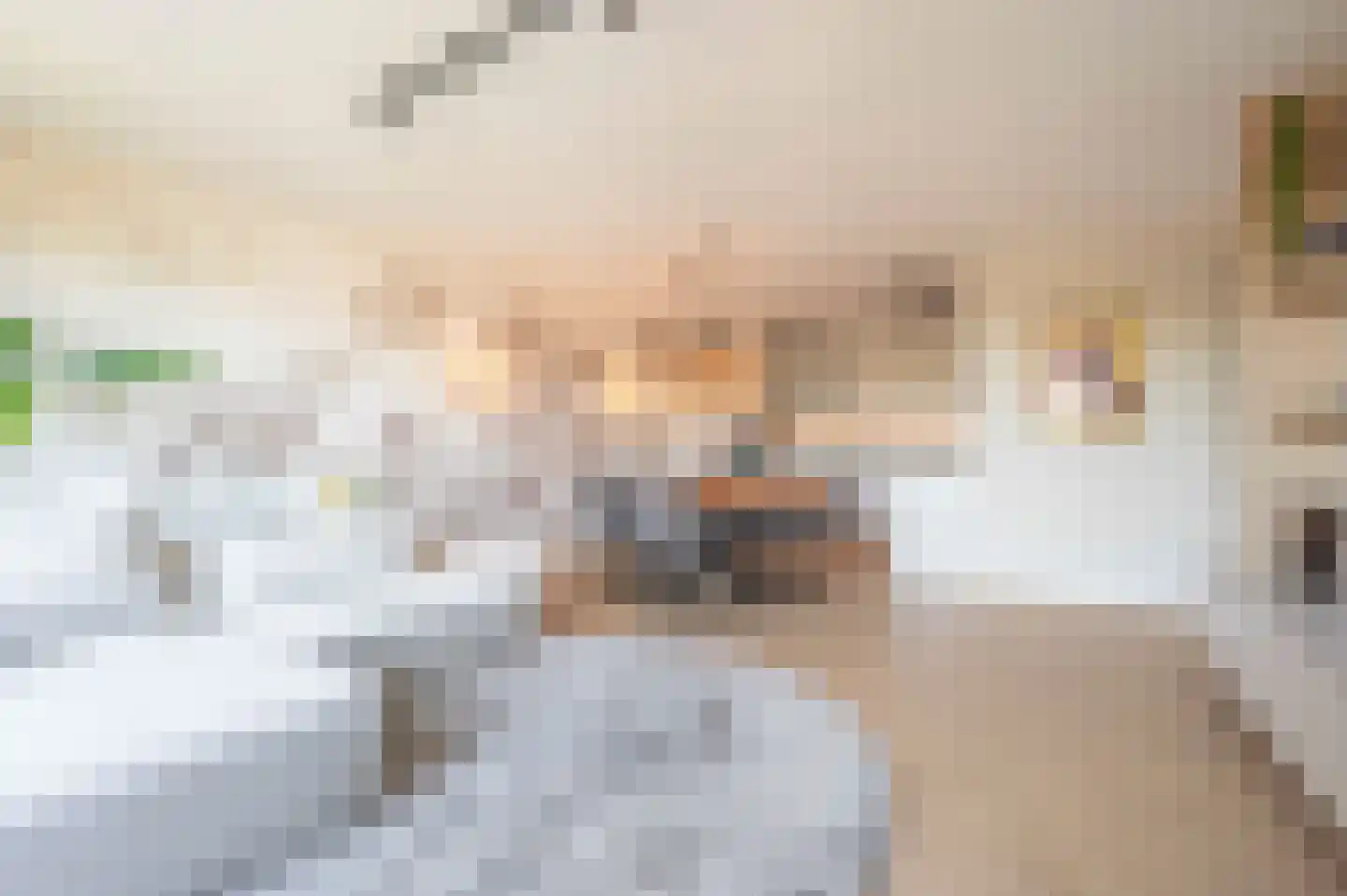 Houtwal 74 Hoeven thumbnail 12