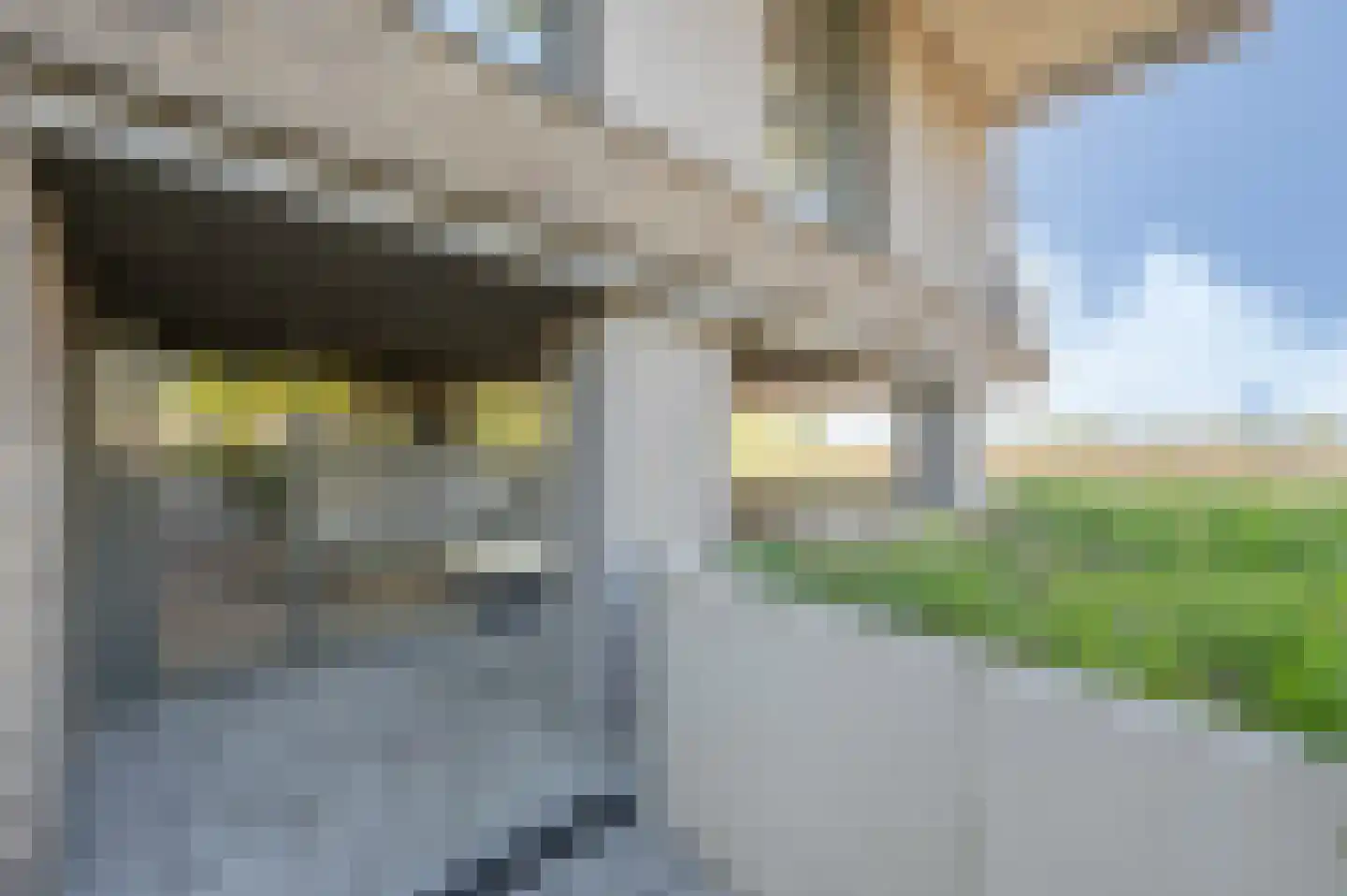 Houtwal 74 Hoeven thumbnail 4