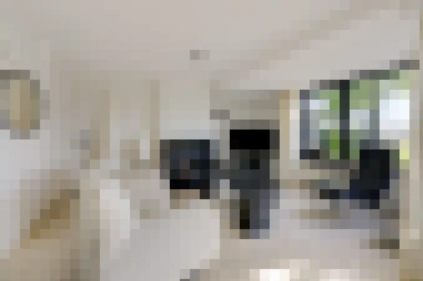 Houtwal 8 Didam thumbnail 10