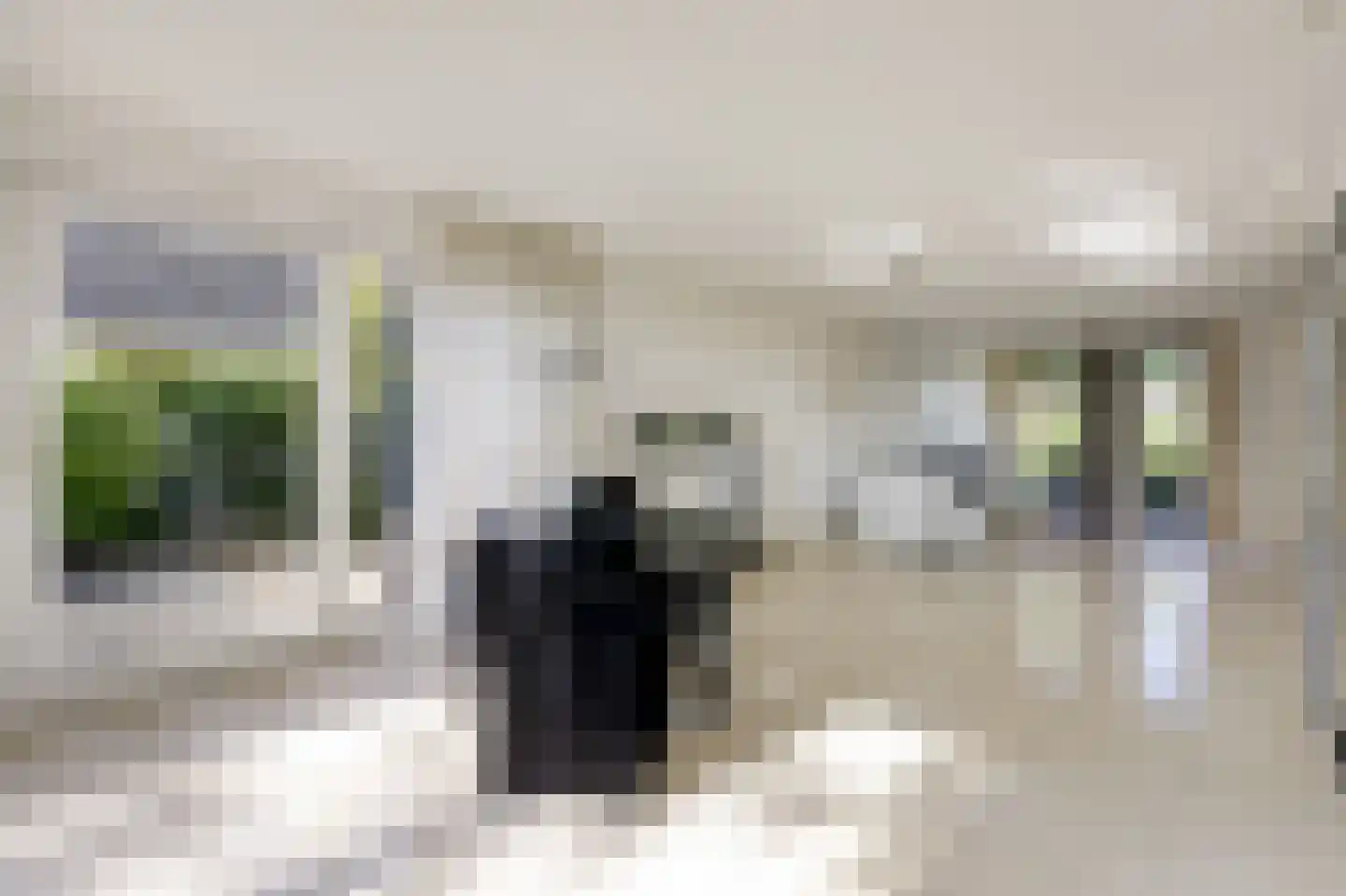 Houtwal 8 Didam thumbnail 13