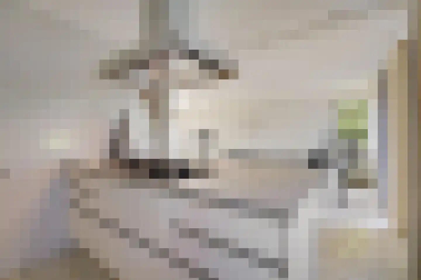 Houtwal 8 Didam thumbnail 16