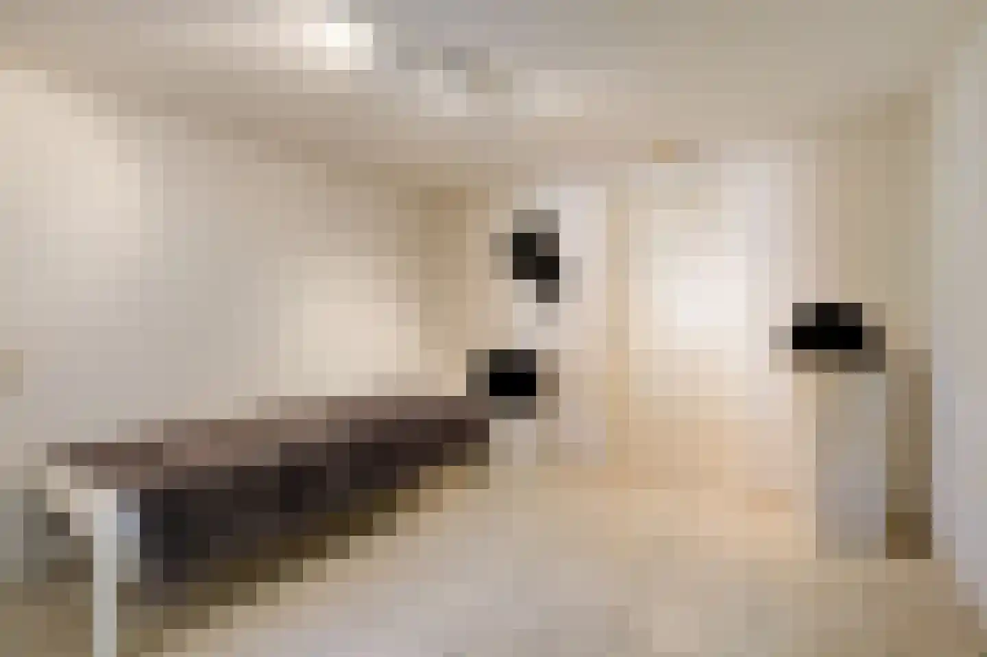 Houtwal 8 Didam thumbnail 20