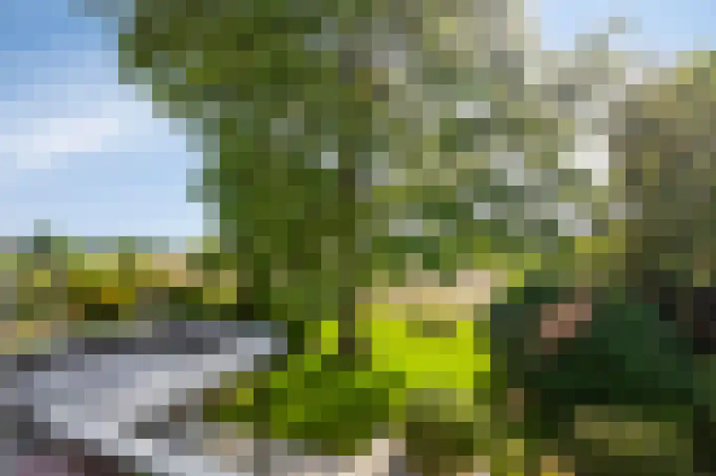 Houtwal 8 Didam thumbnail 30