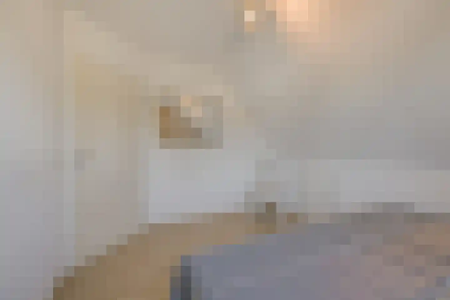 Houtwal 8 Didam thumbnail 32
