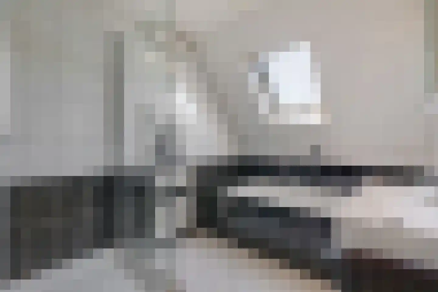 Houtwal 8 Didam thumbnail 34