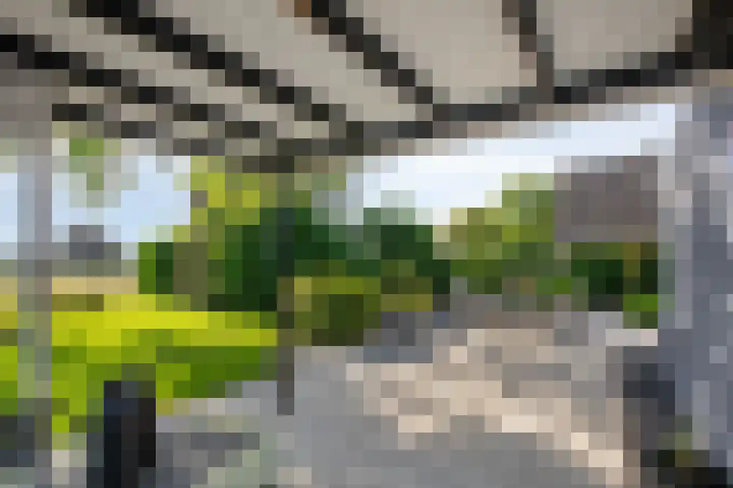 Houtwal 8 Didam thumbnail 42