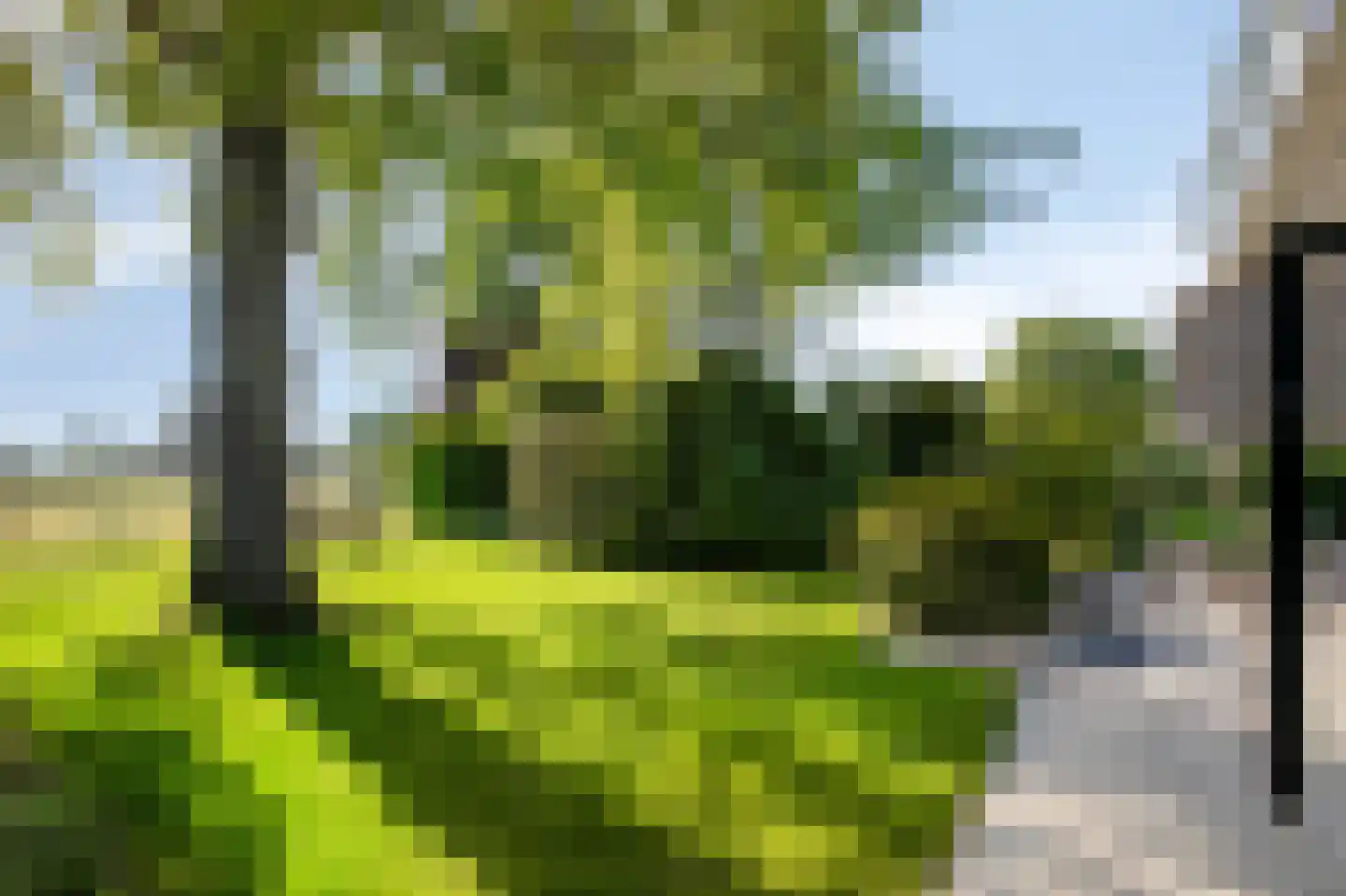Houtwal 8 Didam thumbnail 44