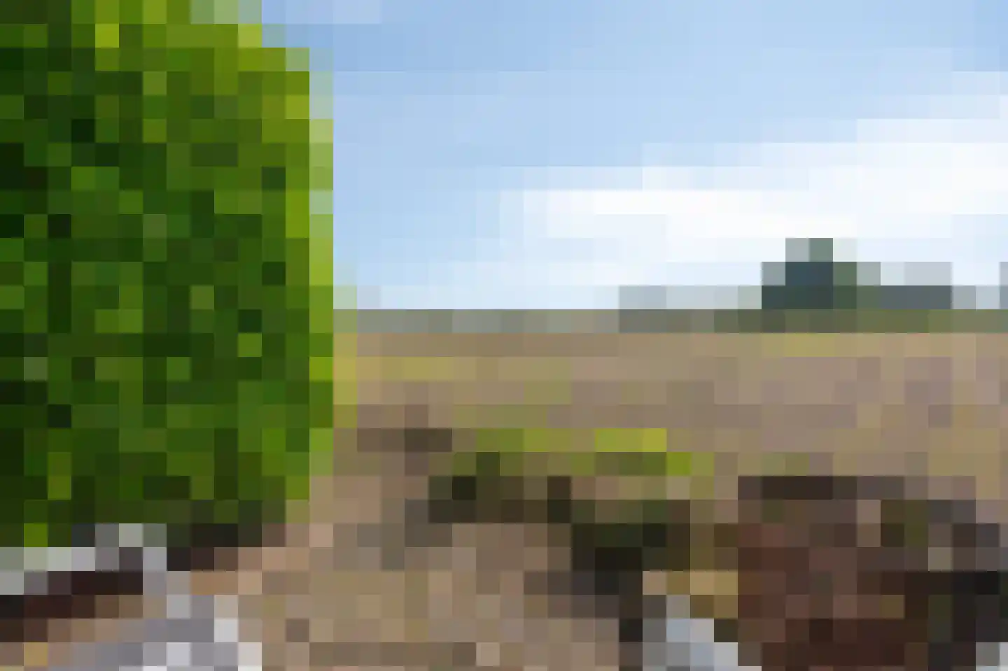 Houtwal 8 Didam thumbnail 46