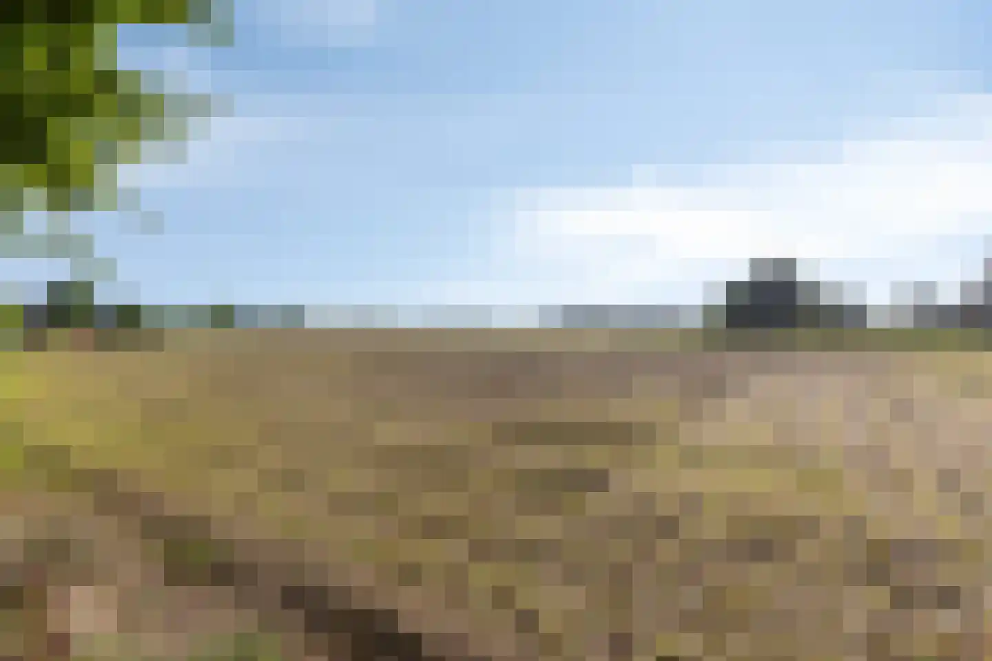 Houtwal 8 Didam thumbnail 47
