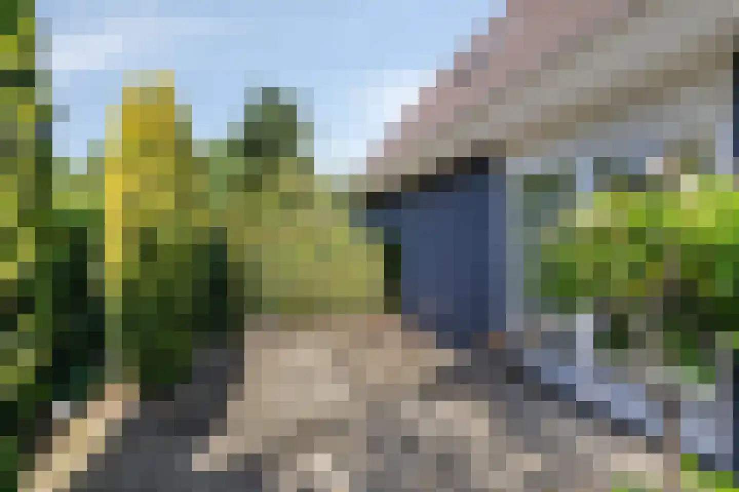 Houtwal 8 Didam thumbnail 48