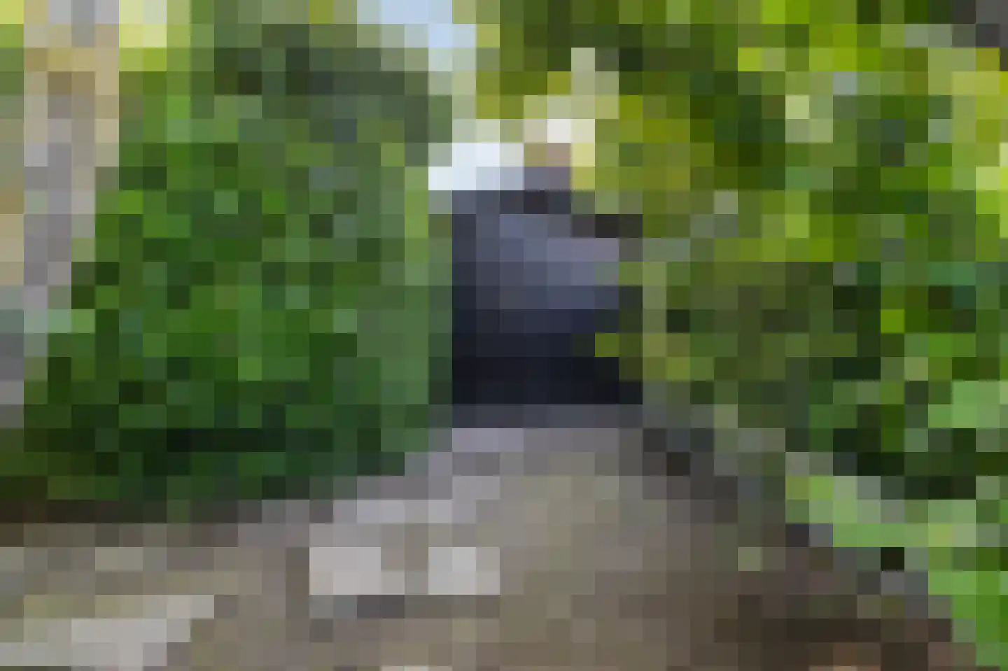 Houtwal 8 Didam thumbnail 50