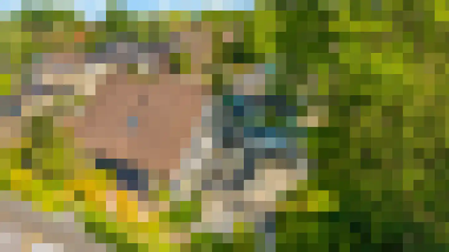 Houtwal 8 Didam thumbnail 52