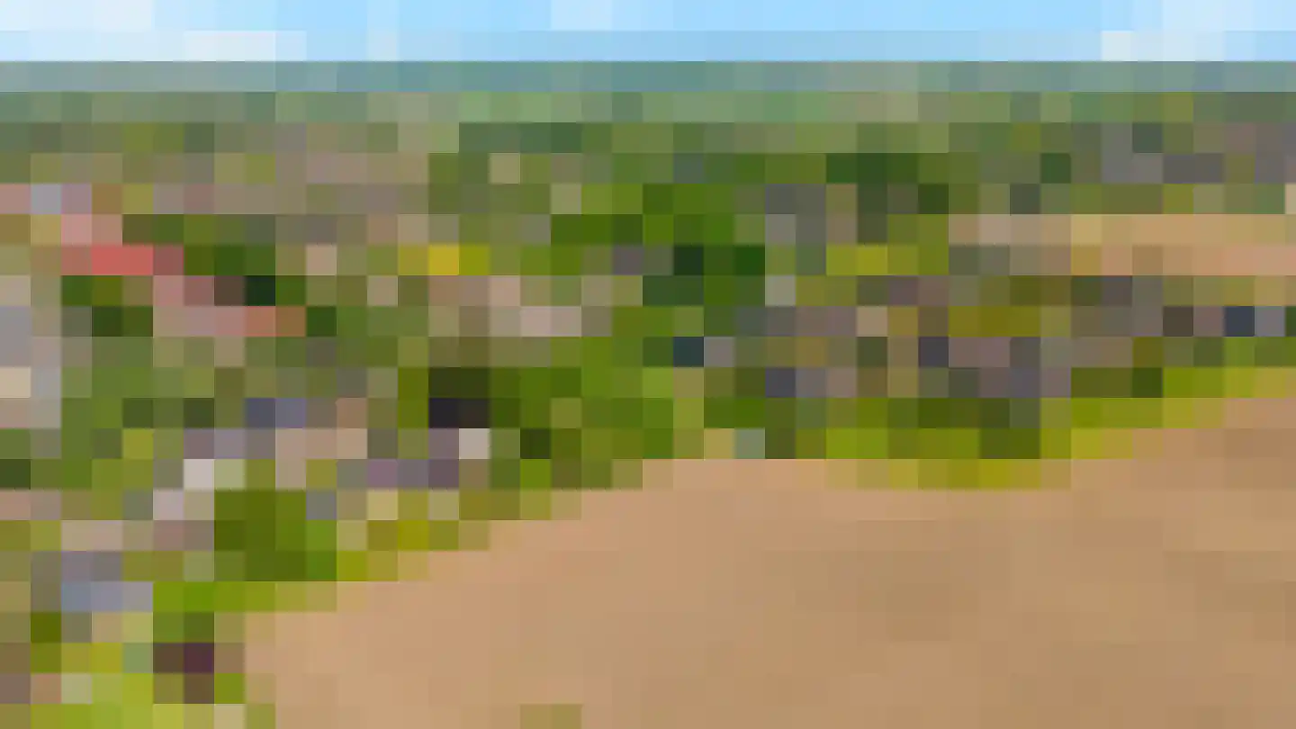 Houtwal 8 Didam thumbnail 53