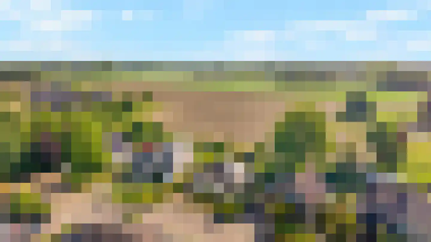 Houtwal 8 Didam thumbnail 54