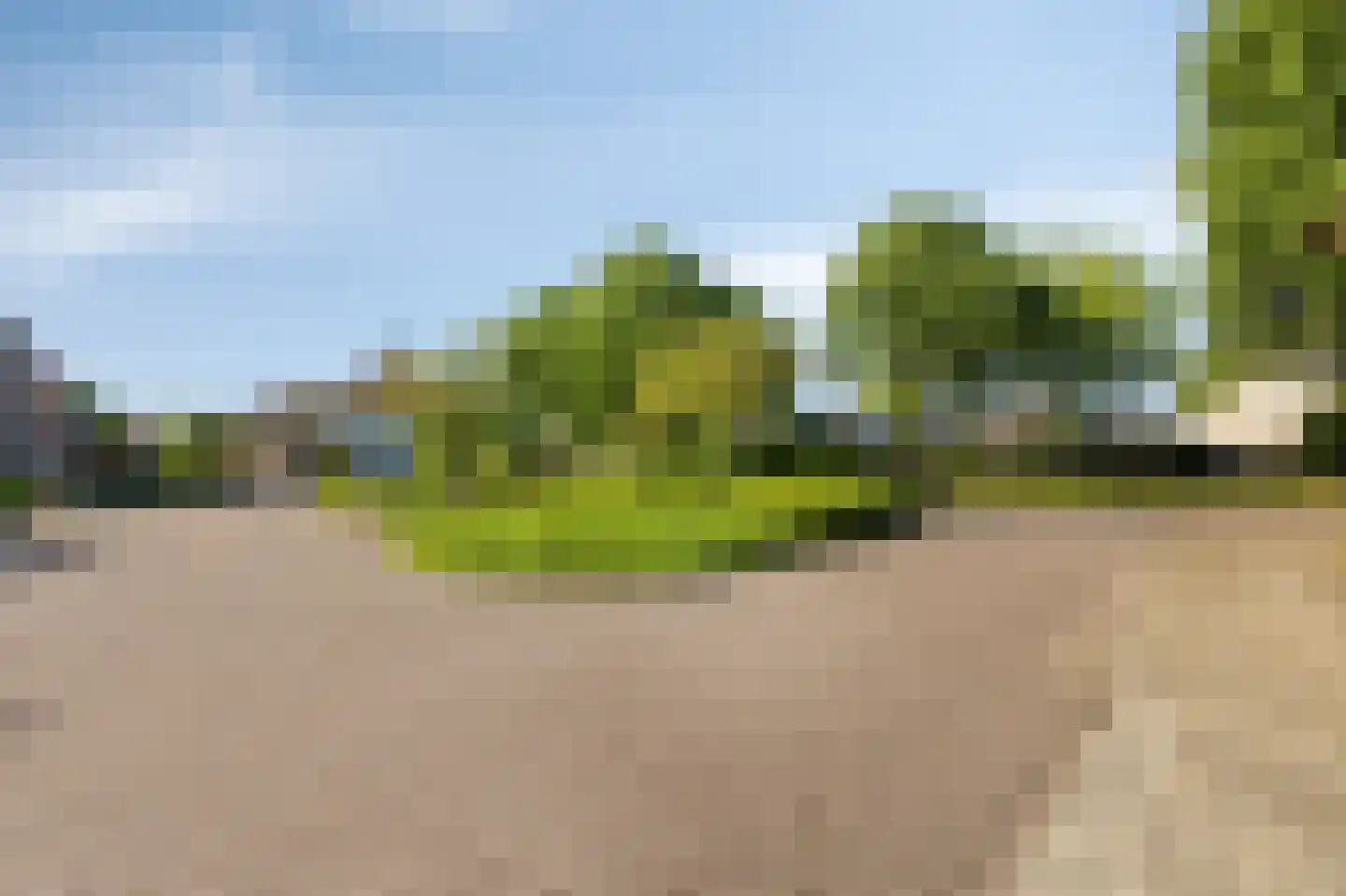 Houtwal 8 Didam thumbnail 57