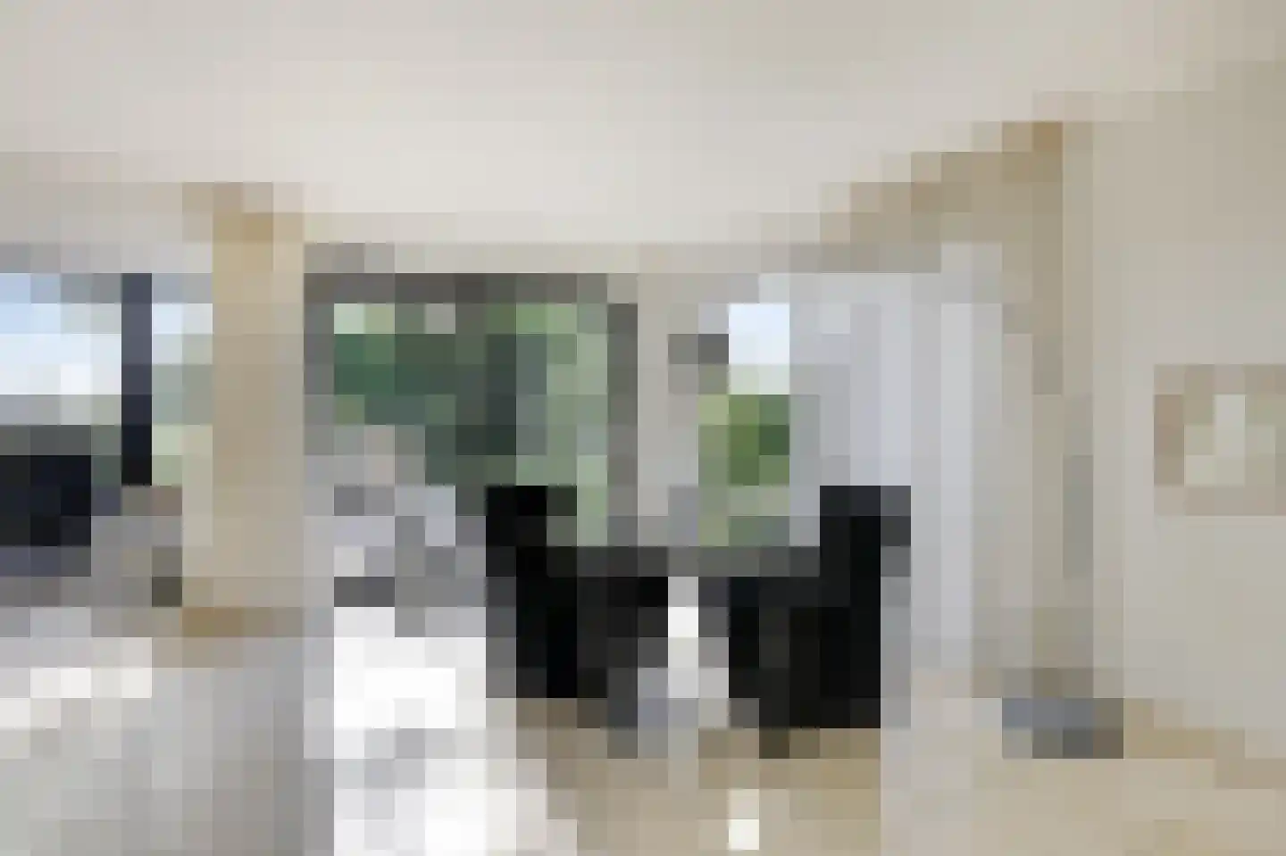Houtwal 8 Didam thumbnail 64