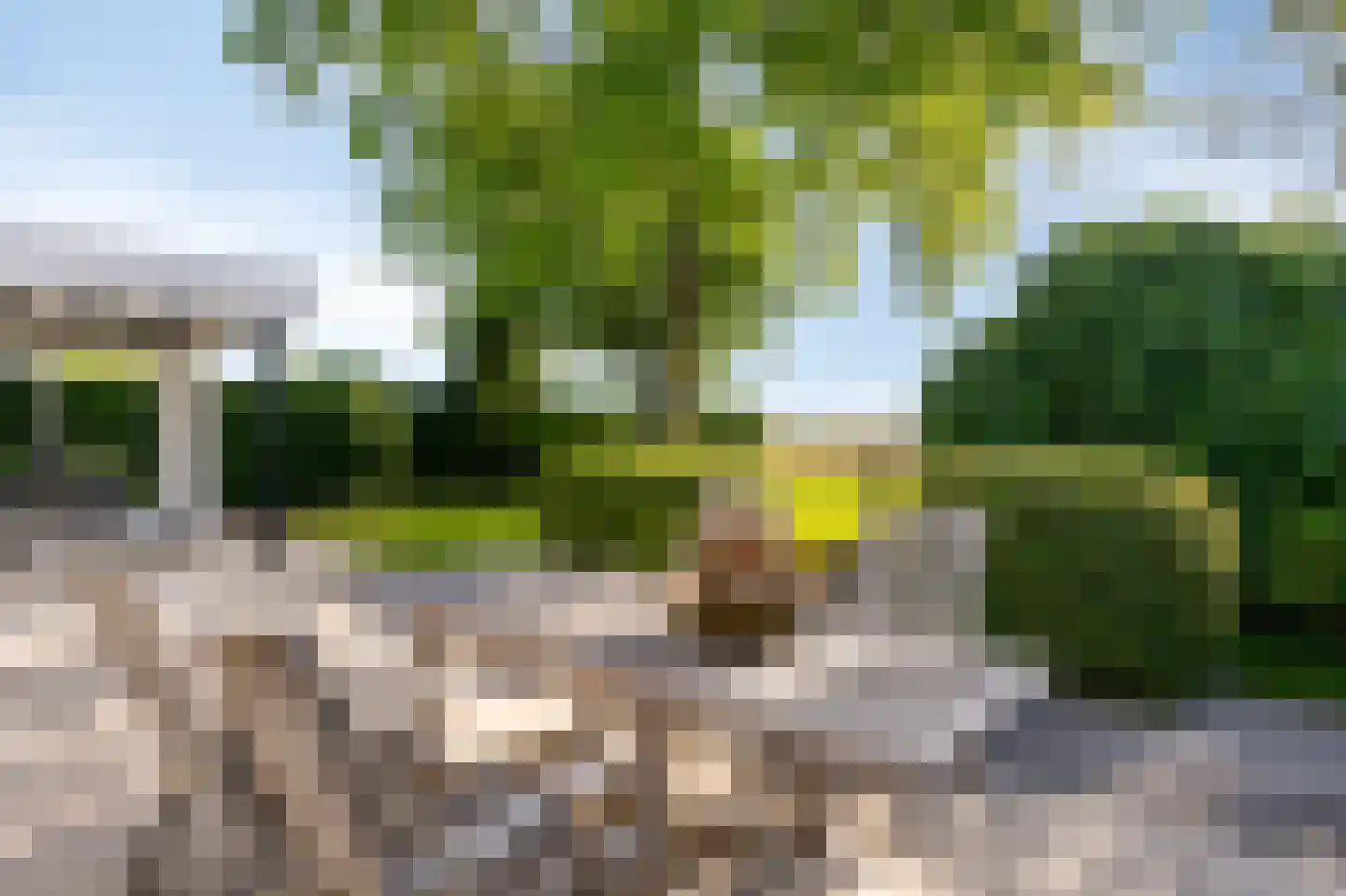 Houtwal 8 Didam thumbnail 68