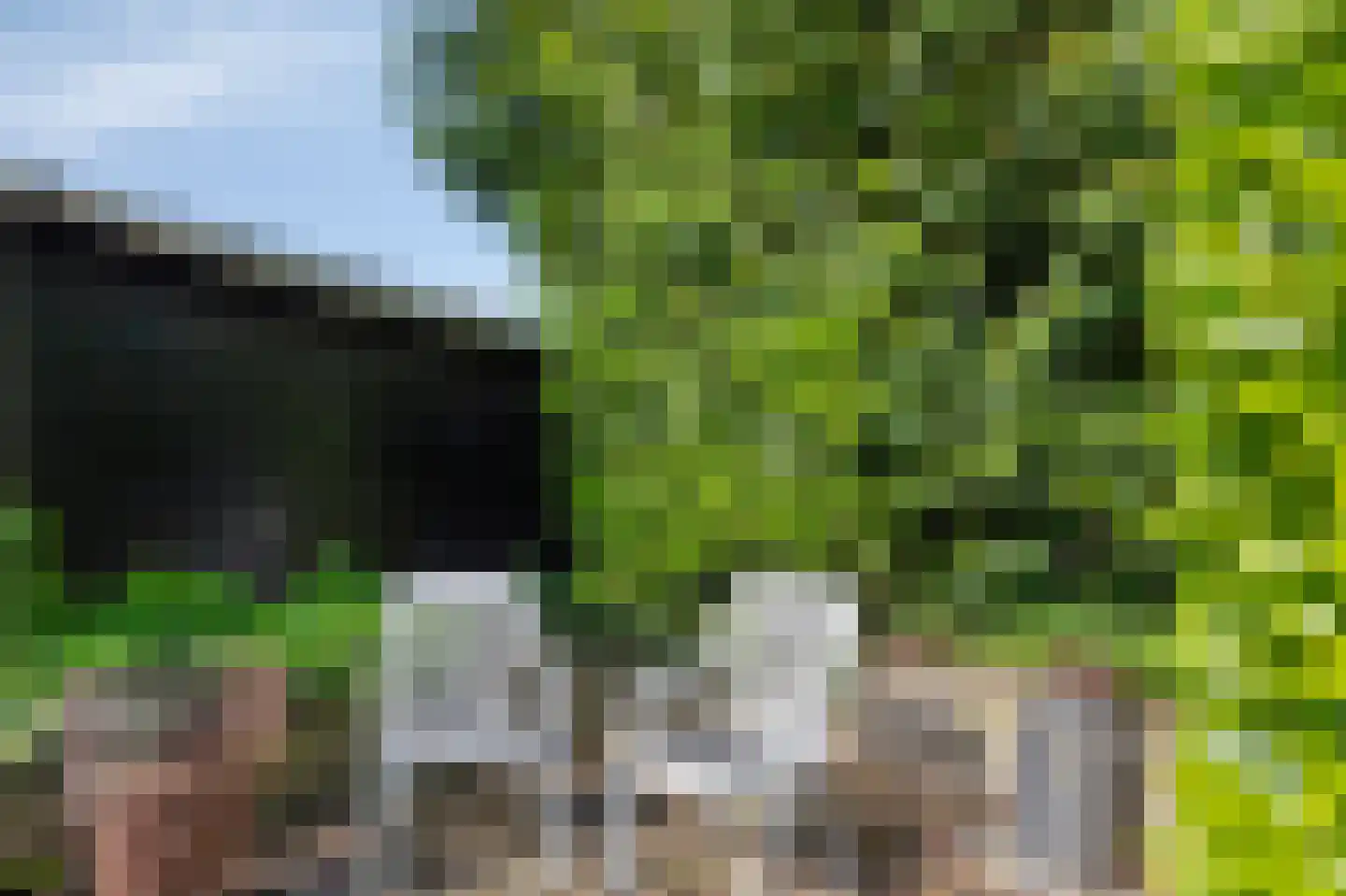 Houtwal 8 Didam thumbnail 74