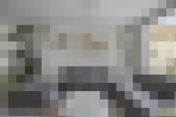 Houtwal 8 Gemert thumbnail 11