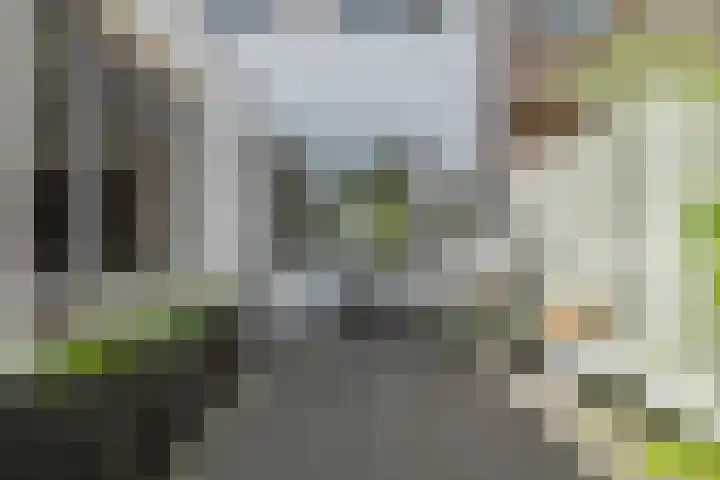 Houtwal 8 Gemert thumbnail 14