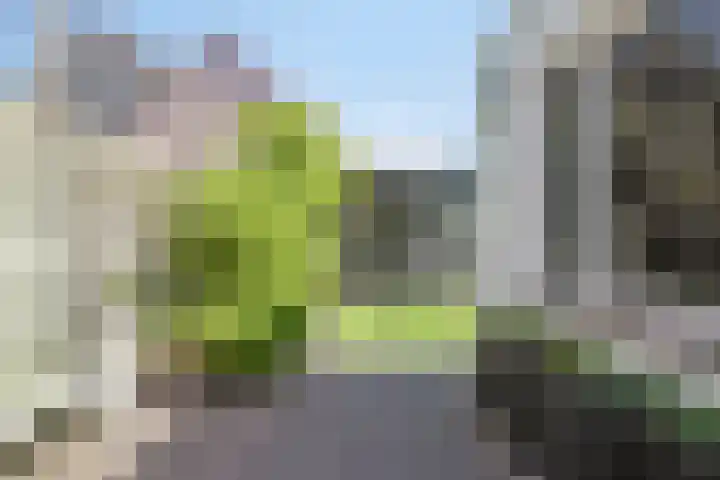 Houtwal 8 Gemert thumbnail 15