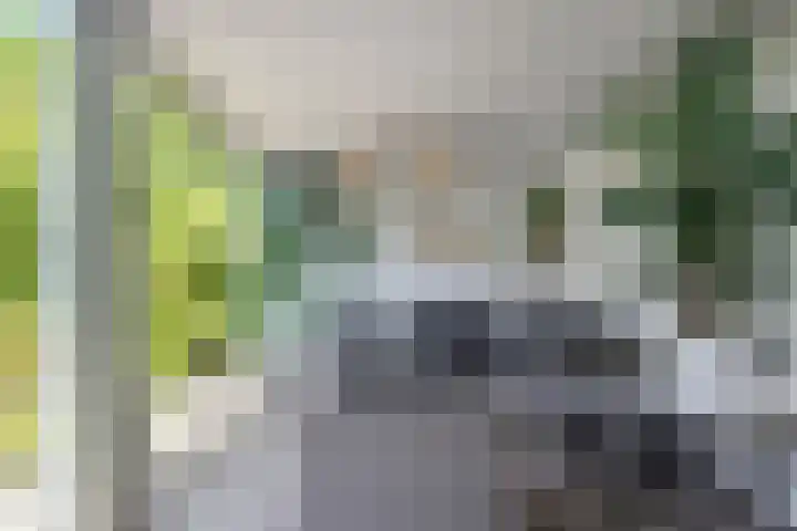 Houtwal 8 Gemert thumbnail 19