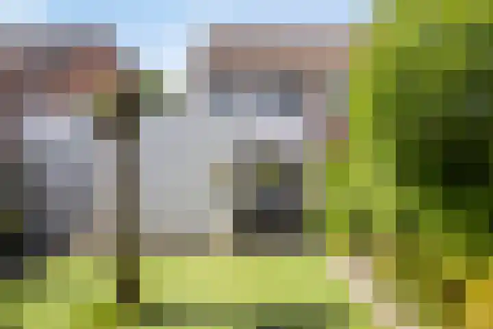 Houtwal 8 Gemert thumbnail 22