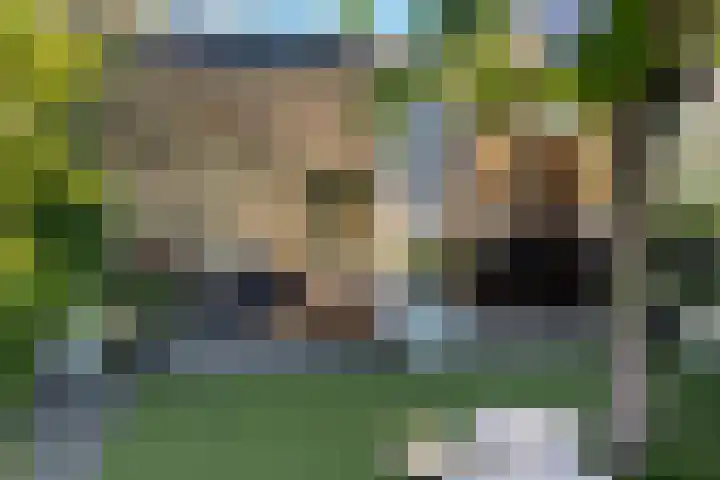 Houtwal 8 Gemert thumbnail 23