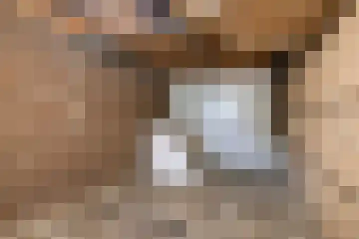 Houtwal 8 Gemert thumbnail 25