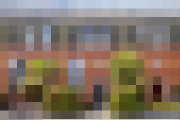 Houtwal 8 Gemert thumbnail 26