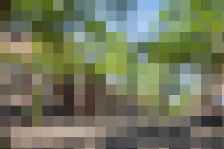 Houtwal 8 Gemert thumbnail 29