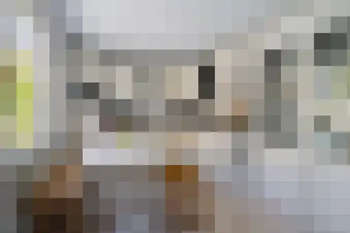 Houtwal 8 Gemert foto 3