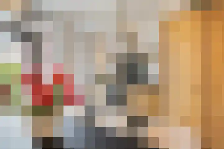 Houtwal 8 Gemert thumbnail 34