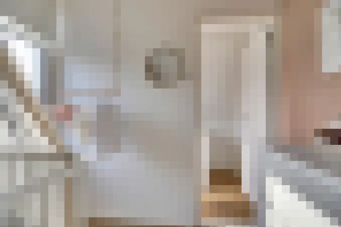 Houtwal 8 Gemert thumbnail 36