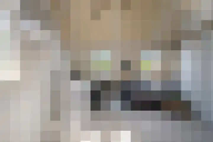 Houtwal 8 Gemert thumbnail 37