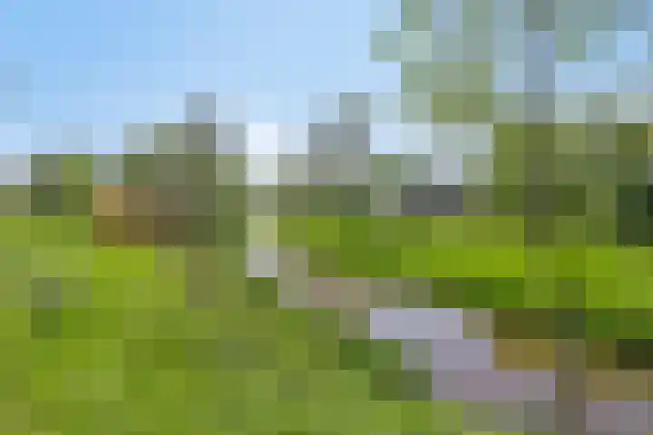 Houtwal 8 Gemert thumbnail 40