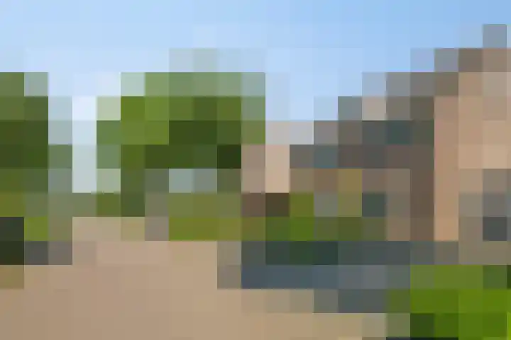 Houtwal 8 Gemert thumbnail 5
