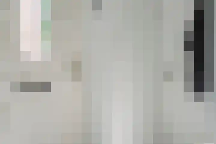 Houtwal 8 Gemert thumbnail 6