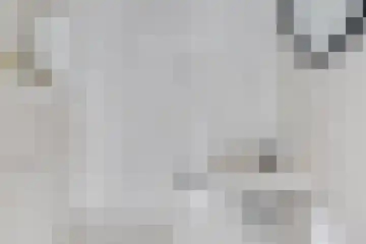 Houtwal 8 Gemert thumbnail 7