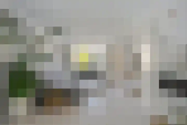 Houtwal 8 Gemert thumbnail 8