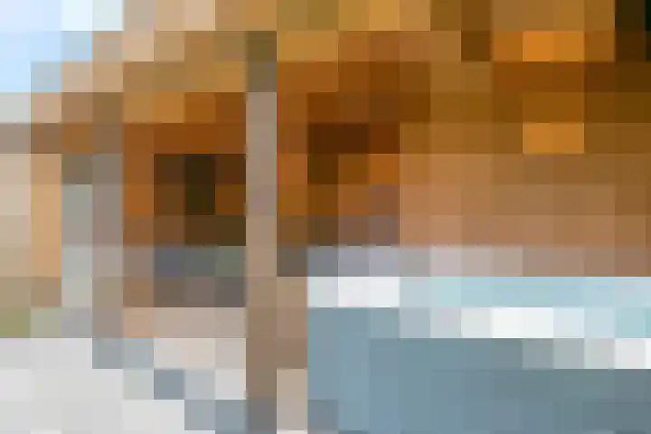 Houtwal 8 Gemert thumbnail 9